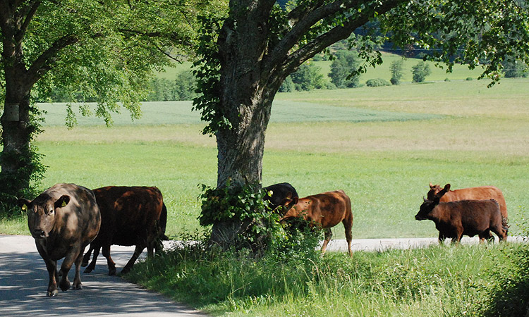 Landwirtschaft erleben